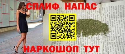 гидра Шелехов
