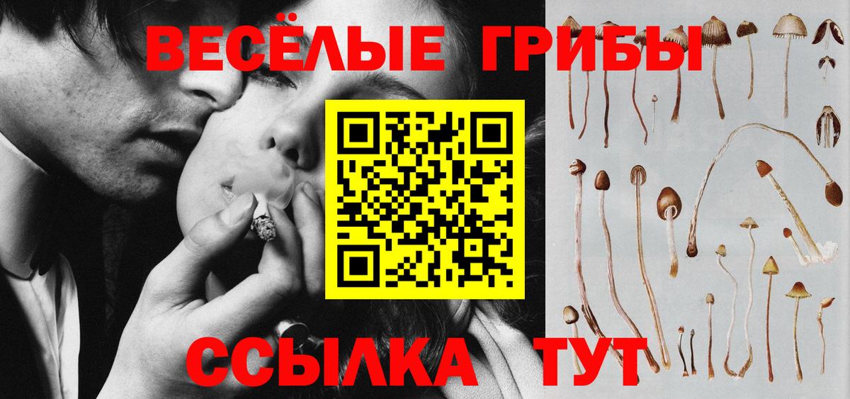 как найти закладки  Вход с VPN  Борисоглебск  Галлюциногенные грибы Psilocybine cubensis 